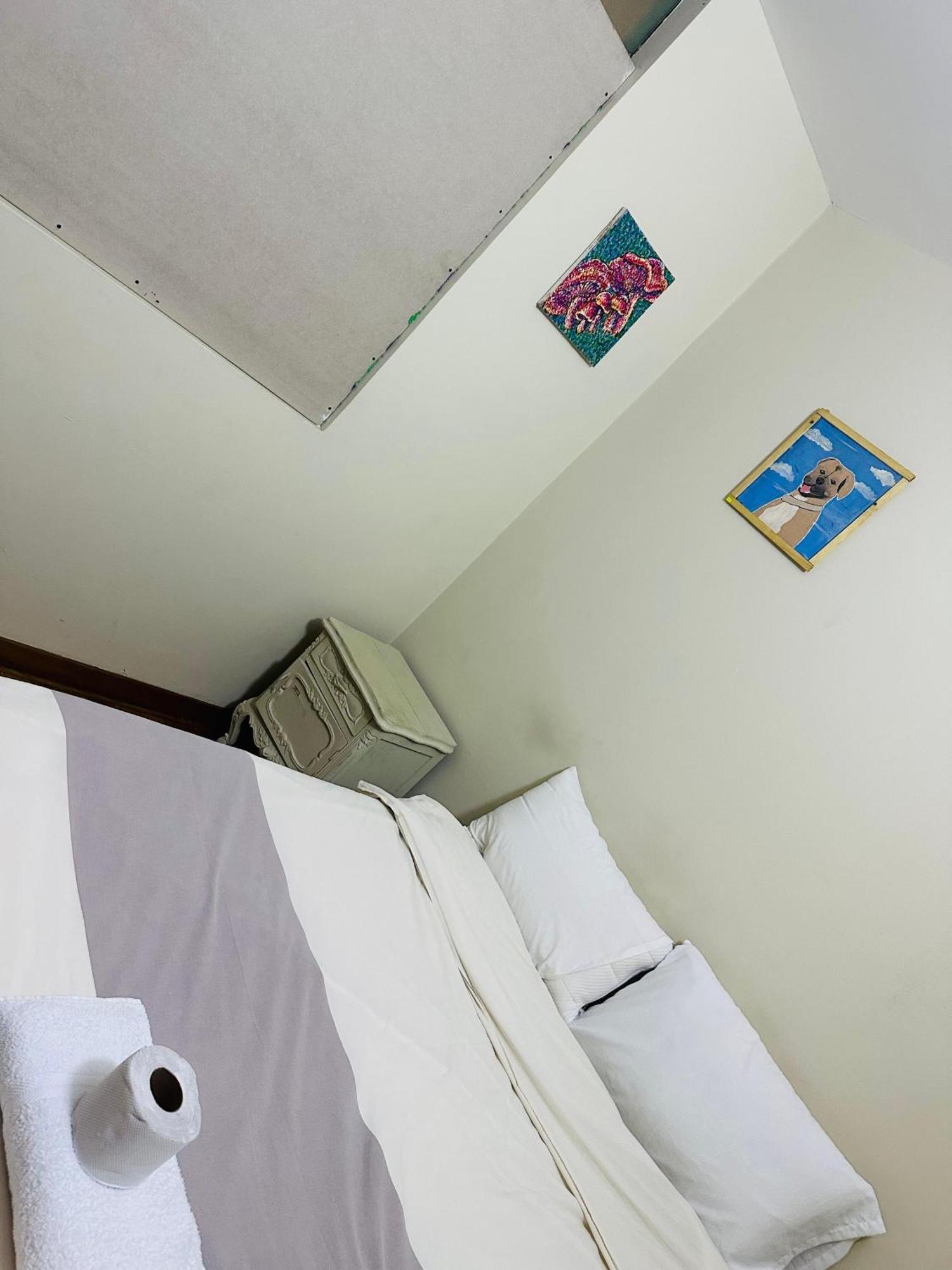 Hostel Colores Miraflores Lima Luaran gambar